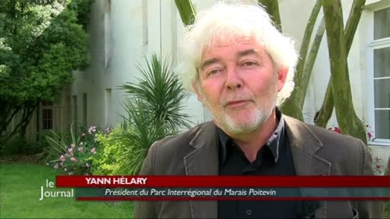 Vendée : Le Marais poitevin de nouveau parc naturel régional