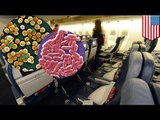 E. Coli, MRSA bacteria can survive for days in airplane seats