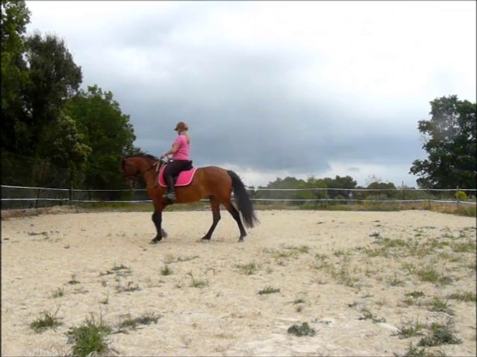 tchika 22.05.14 au pas