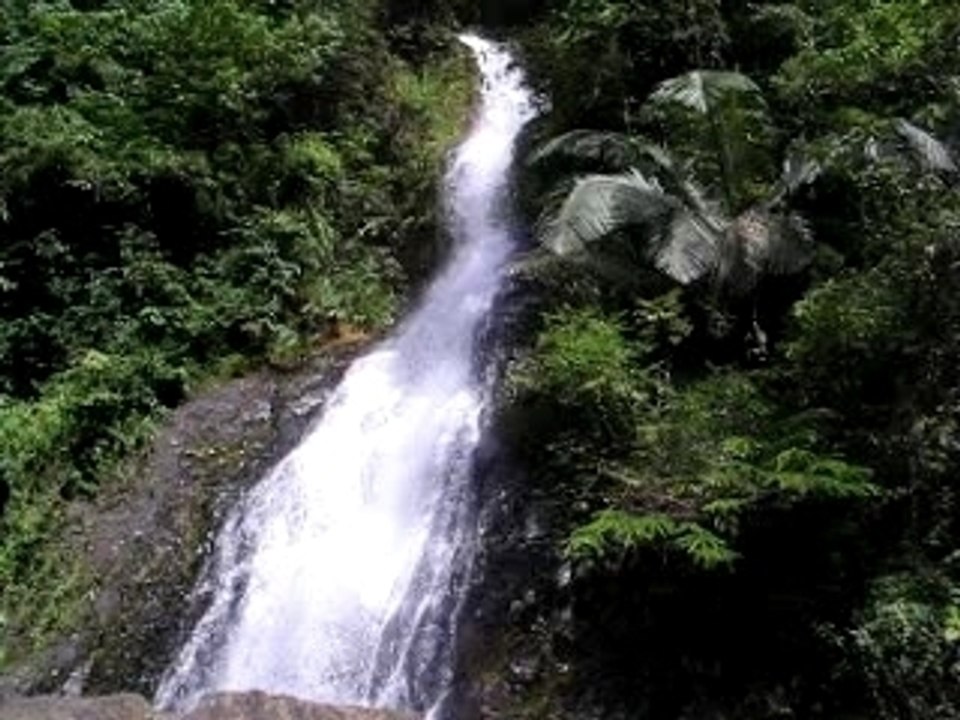 Krabi Khao Phanom Benja National Park