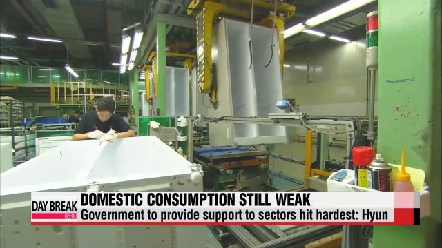 Domestic consumption shows positive signs but still weak Hyun