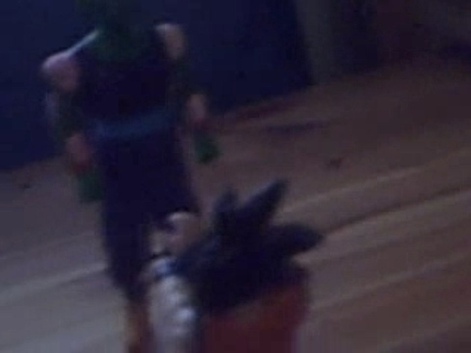 sangoku vs piccolo 2