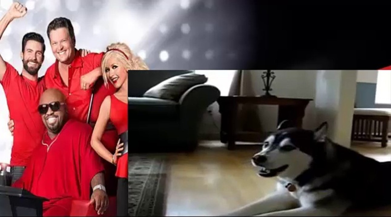 Dog blind audition at the voice