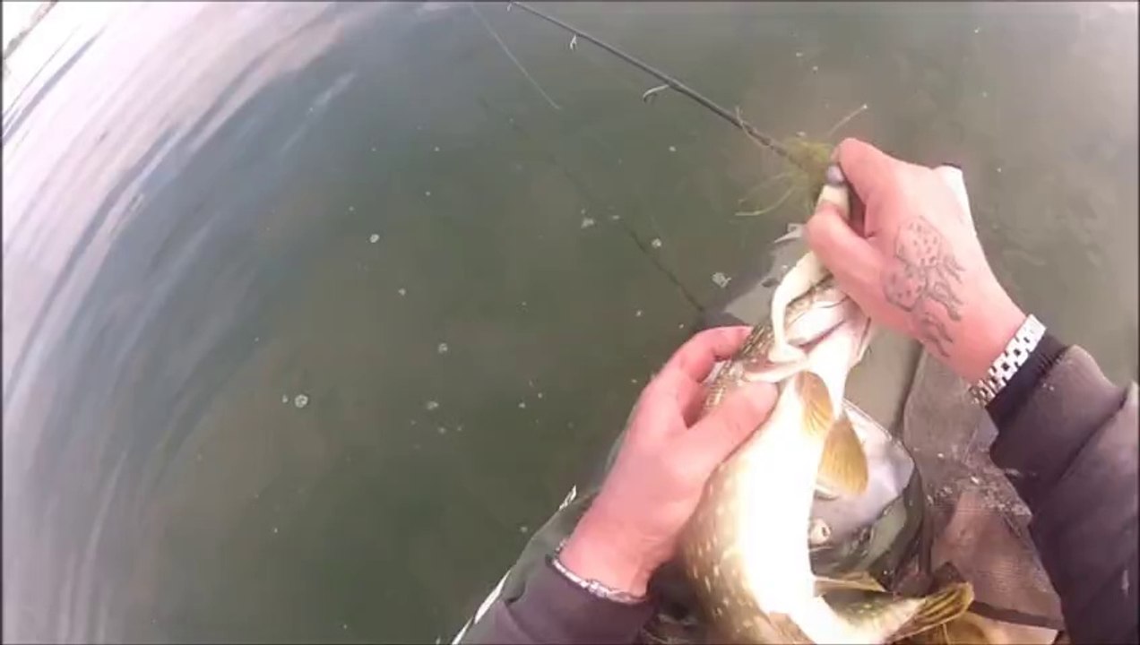 Peche du brochet 2014