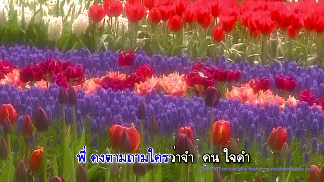 คนรักหาย - ธานินทร์ อินทรเทพ..mv
