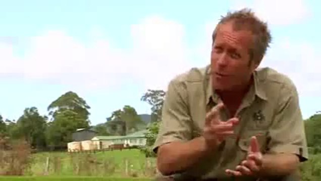 Winter Lawn Problems and Solutions Brisbane - Daleys Turf