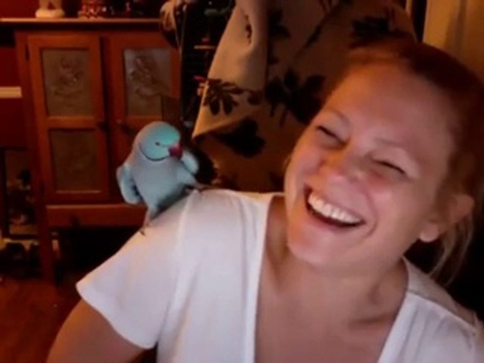 Jouer à "coucou caché" avec son perroquet!