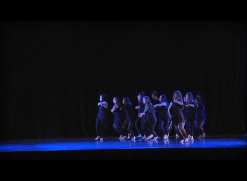 Lycée Léonard de Vinci - Monistrol sur Loire - Championnat de France UNSS de danse - Nancy 2014