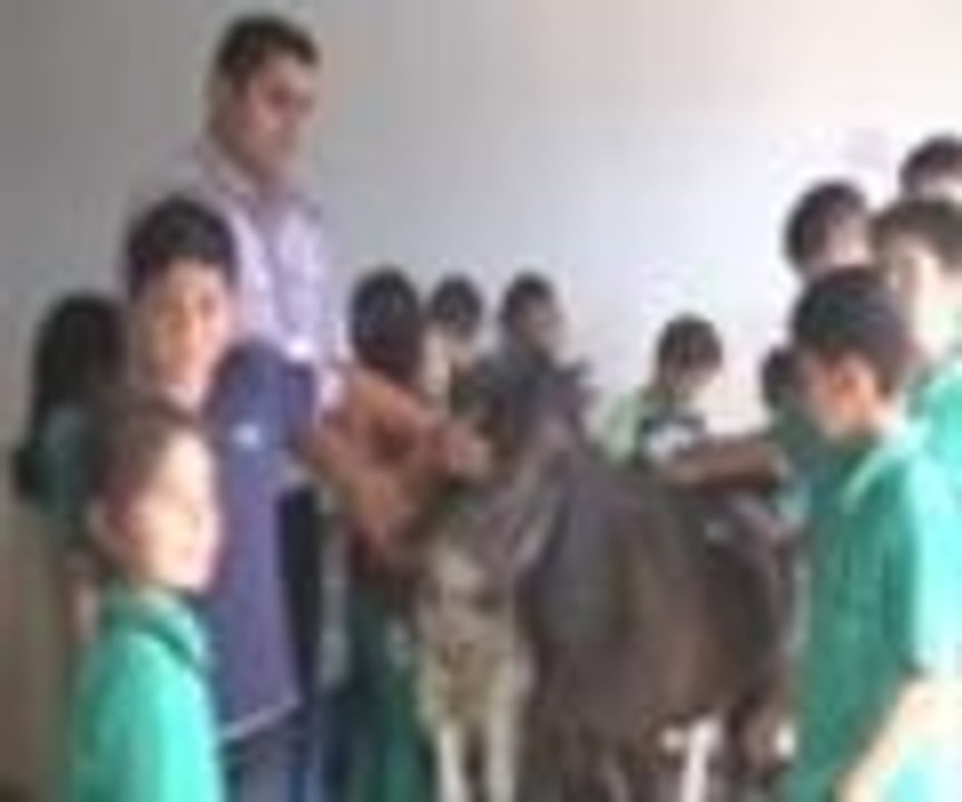 Okula hayvanat bahçesi kurdular