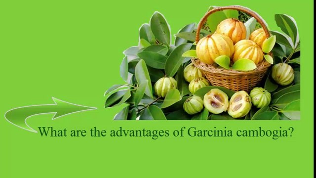 garcinia-cambogia-reviews