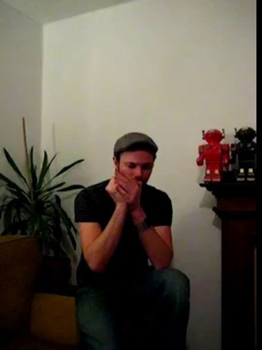 US Blues cheap harmonica from Honkin' Harmonica Shop