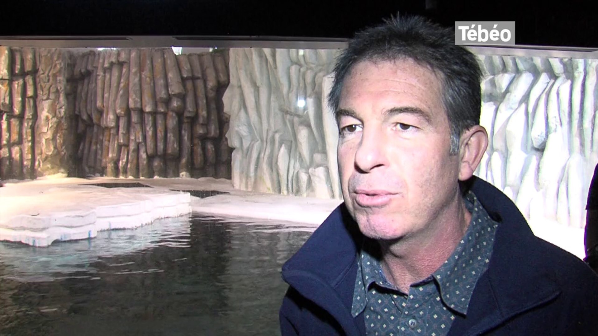 Brest Oceanopolis Junior Le Nouveau Bebe Phoque Video Dailymotion