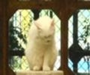 Artık onlarında sayısı belli olacak