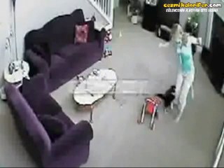 Bardağı Kırdı Diye Bakıcıya Celallenen Kedi