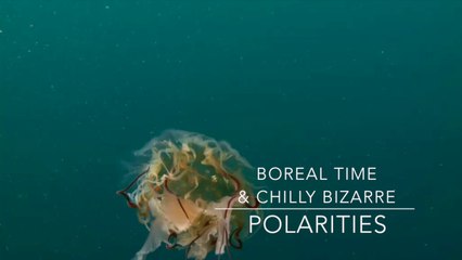 Tristan Nihouarn - Boreal Time & Chilly Bizarre