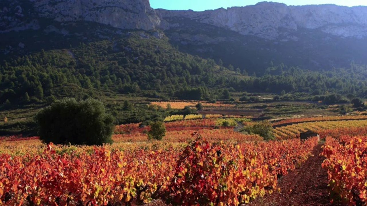 Jean-Philippe Nuel : "Le Sud me parle"