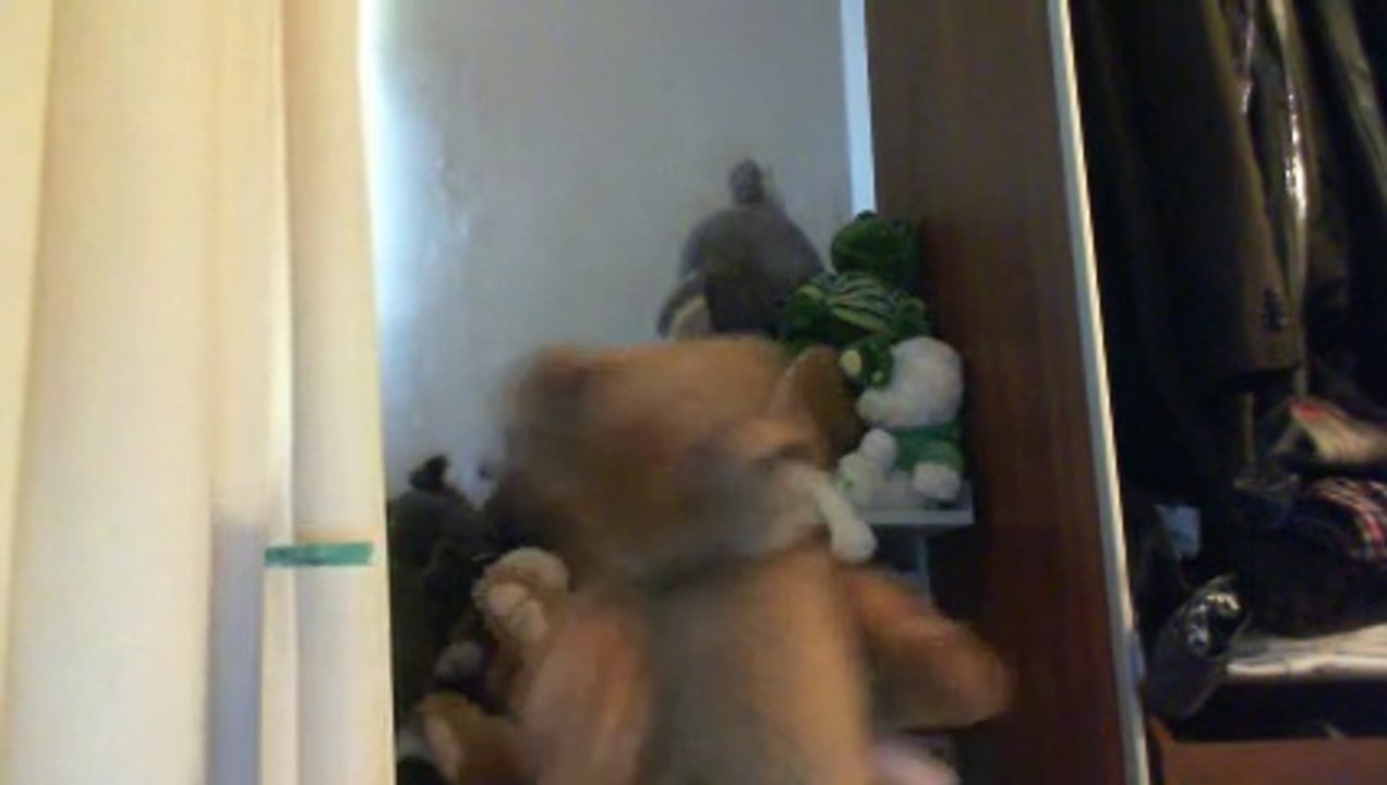 Wiwi muppetshowise "reine de musette" d'André Verchuren