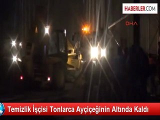 Çekirdek Yığını Altında Kalan İşçi Öldü