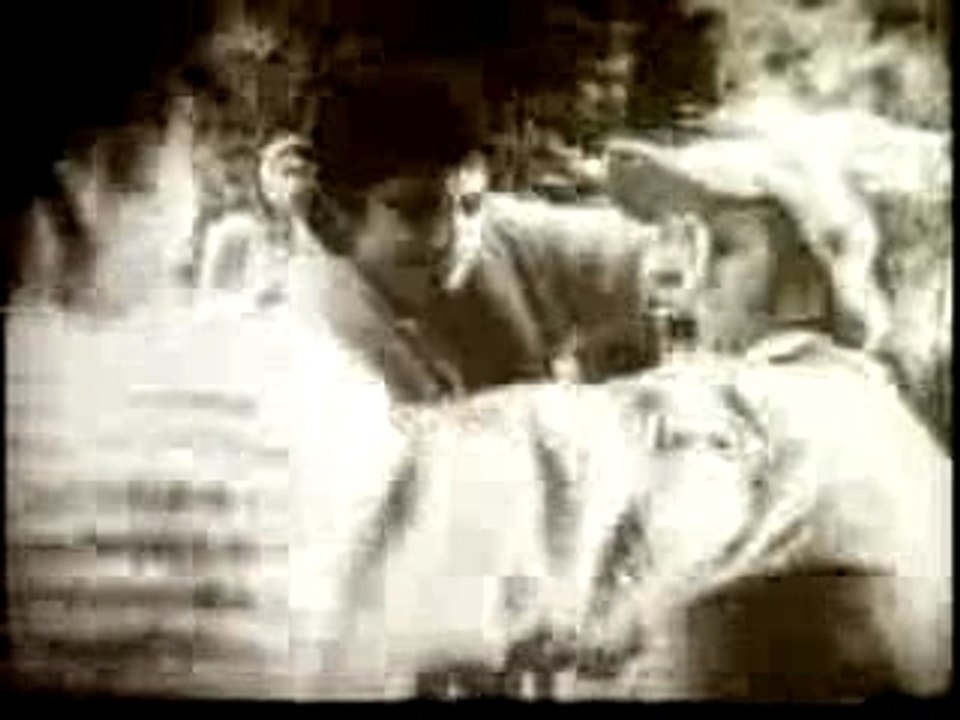 Daniel Boucher - "La Patente"