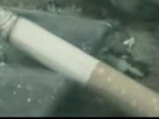 Sagopa kajmer - baytar