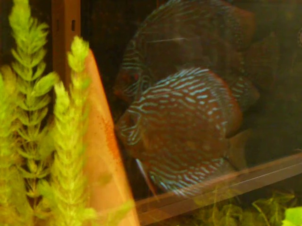 P1040365