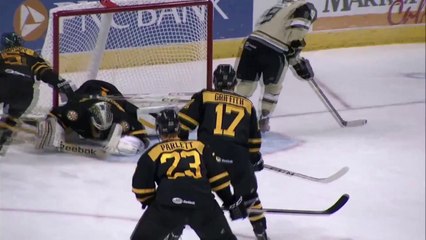 Amazing  NHL GOAL by Brian Gibbons.