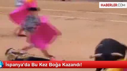 İspanya'da Bu Kez Boğa Kazandı!
