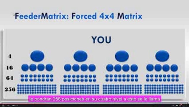 Make Money Online With Feeder Matrix Video Dailymotion