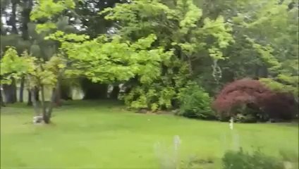 Roseburg OR Riverfront Home For Sale | Troy Schuyler