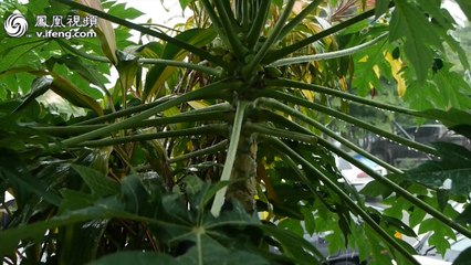 20130829 原乡与离散  马六甲夜话