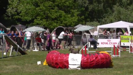 Eliok Sélectif Trophéé Cibiens M3