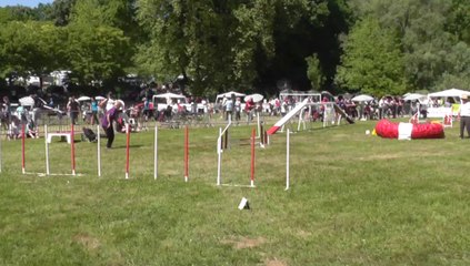 Févéra Sélectif Trophéé Cibiens M3