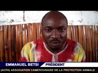 L'Association Camerounaise De Protection Animale à un Message pour Betty