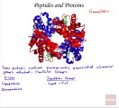 Peptides & Proteins, Biochemistry 2