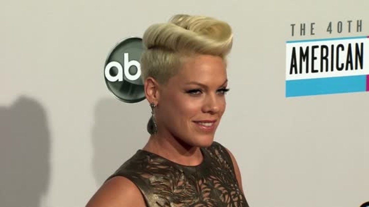 Pink Hints At Possible Pregnancy