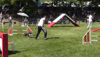 High Tech Sélectif Trophéé Cibiens M3