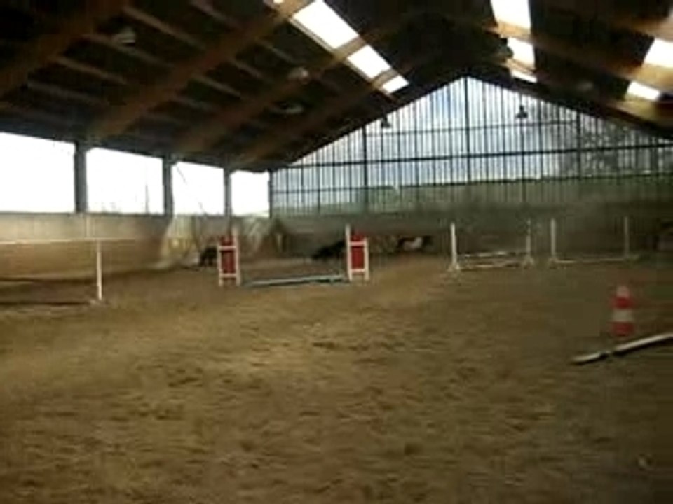 MVI_0832