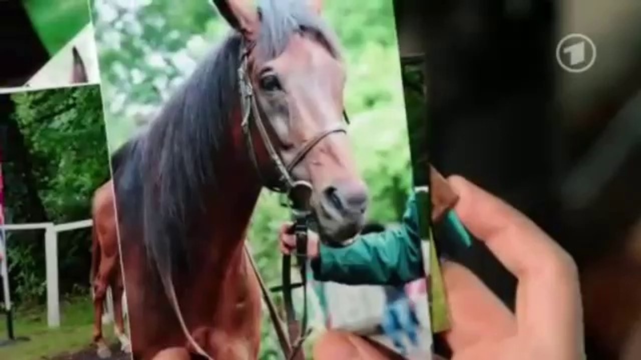 Verbotene Liebe : Vorschau auf Folgen 4514 - 4518 II 17.06.2014 - 27.06.2014