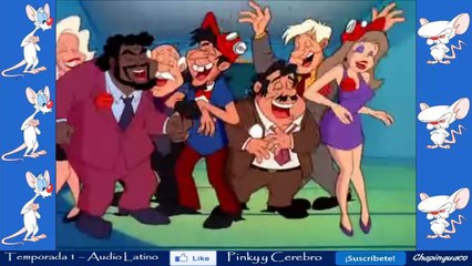 Pinky y Cerebro Capitulo 18