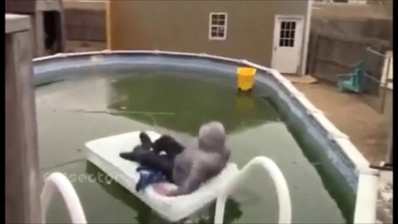 Best Fail Compilation JULY 2014 - #9 - Fails