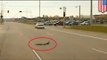 Dash cam video: Cool cop stops traffic to let mother duck and ducklings cross road