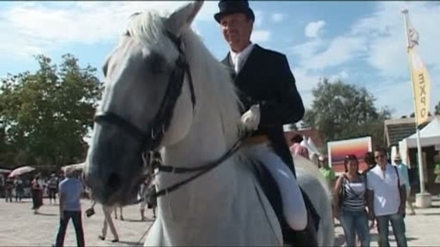 La Feria du Cheval au domaine Paul Ricard à Méjanes
