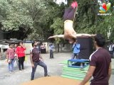 Tiger Shroff Promotes 'Heropanti' by Performing Parkour Stunts