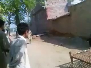 funn in village