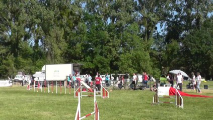 Diwan Sélectif Trophéé Cibiens M3