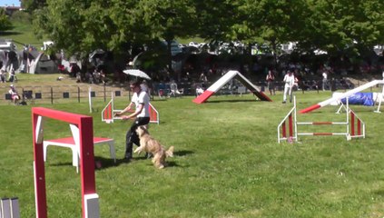 Glen Sélectif Trophéé Cibiens M3