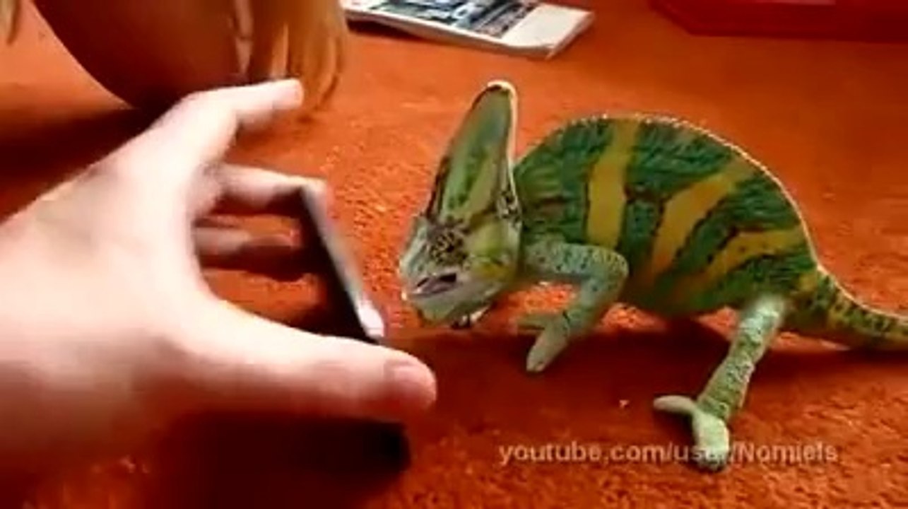 Iphone ile Bukelemun Korkutmaca