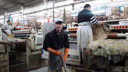 VARDAR FLESHING MACHINE