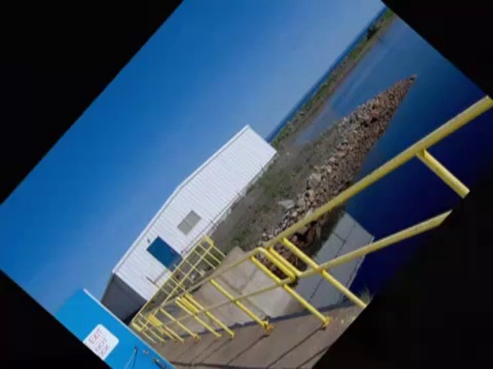 Newfie Fever - Westphalia Waltz