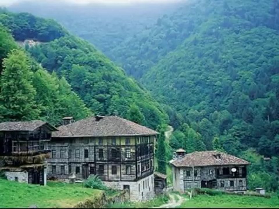 Ayşenur Kolivar - Ahmedum